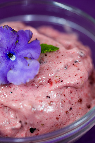 banana berry ice cream